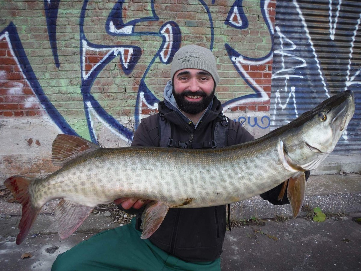 DgWildhuman's tweet photo. Dur de ne pas avoir le sourire accroché au visage quand on fait la capture d'une telle bête. Big up Thomas!! 🍃 #WildhumanQc #fishingworld https://t.co/E2aHxMOlKl