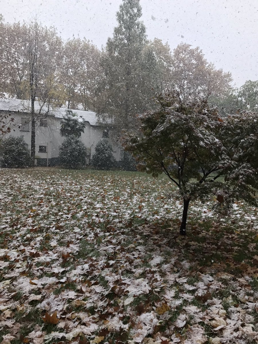 金陵初雪