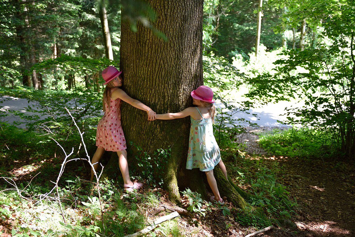 Have you hugged tree today? Remember trees give oxygen.
