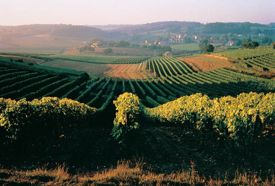 Cognac: the history exchange magamgd.com/cognac-the-his…