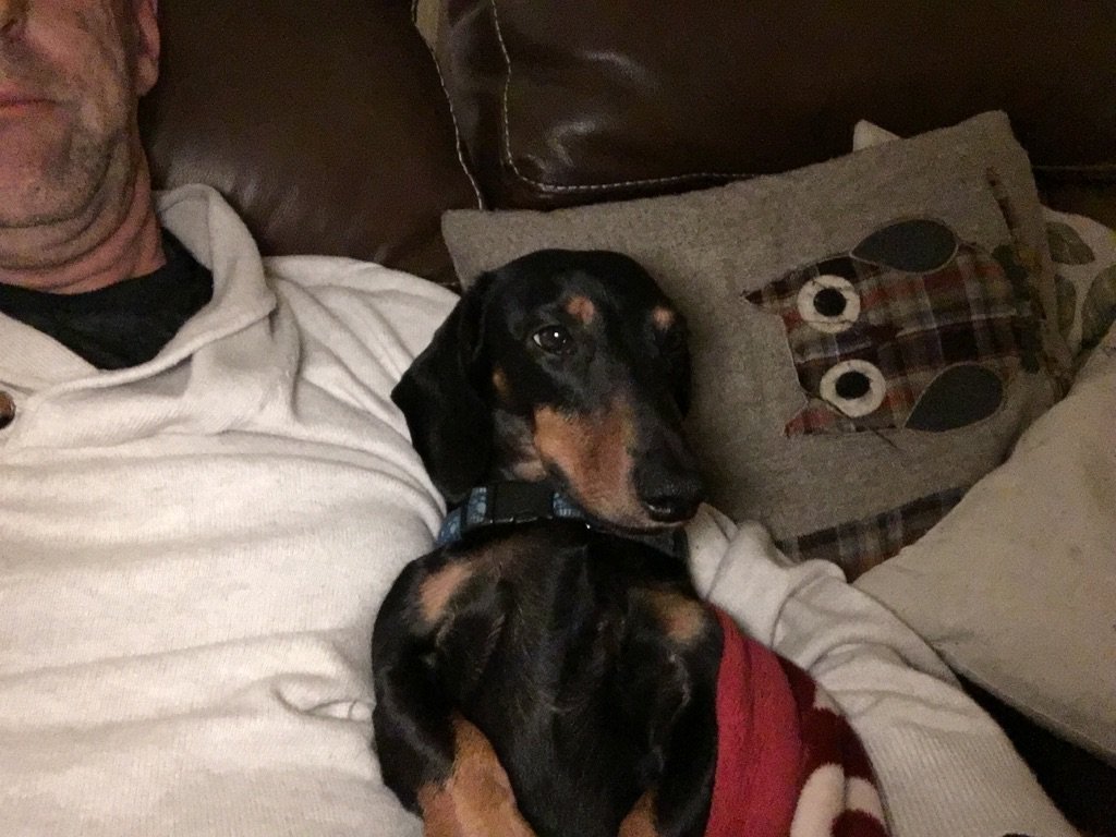 drjohnandrews's tweet photo. Chilling with Pepperoni - he's glad to see me!! #peppergram https://t.co/3HfqcFs0X6
