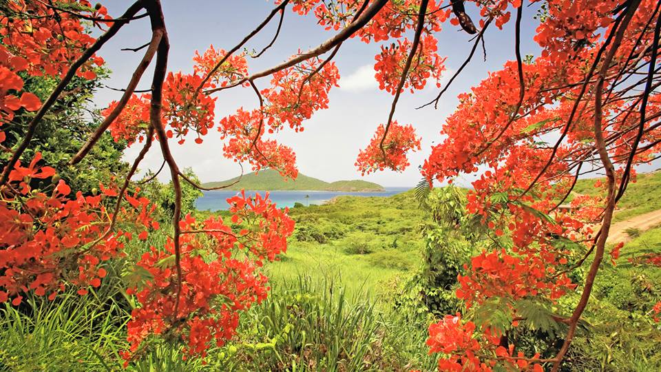 peac4love's tweet photo. @KN_IndrePal @ranasilvia63 @3_elfie @CherylDenmark @YamSherazd @jokic213 🍂🍁🍂Ty💐🍹☮❤Beautiful autumn image! https://t.co/MwGcWbWQho