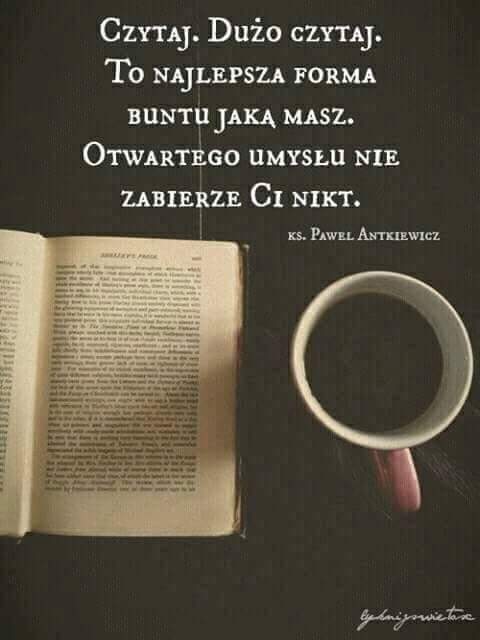 Mateusz Święcicki tweet media