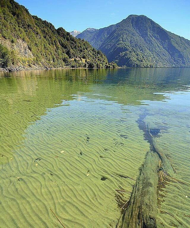 AChilepoh's tweet photo. Vía @carretera_austral - ¿Has visto aguas más transparentes que en #CarreteraAustral? Foto: @rollingpatagonia +info… https://t.co/98HUTJpVtE