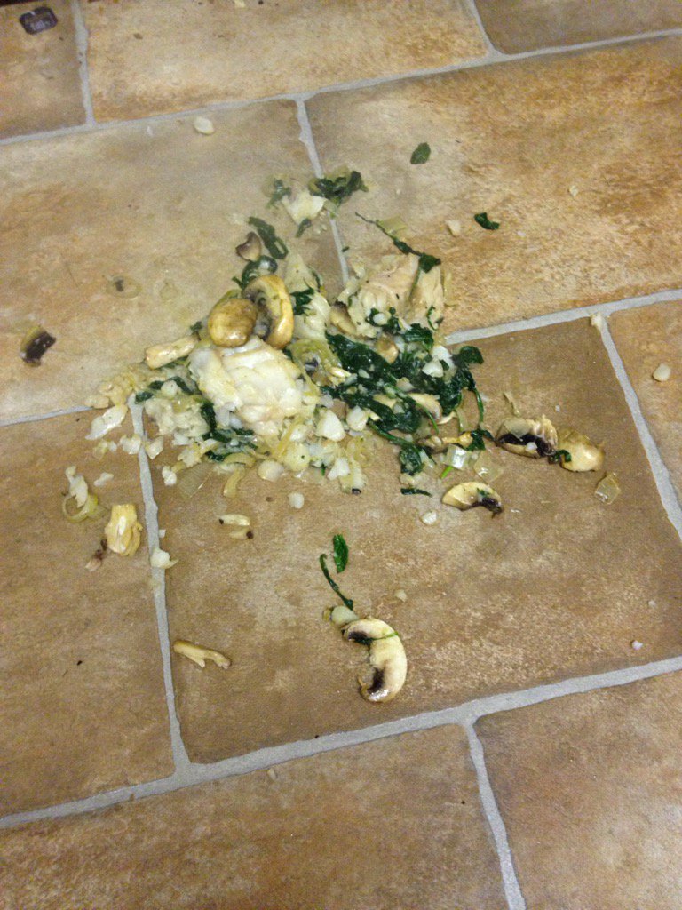 JaneyNutts's tweet photo. Sure this happens in top restaurants - from the floor to the plate #5secondrule #floorfish #yumyum #toohungrytocare https://t.co/IGiO46Z0Lh