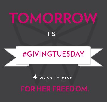 Tomorrow is #GivingTuesday! Our fundraising software company is fees BACK to Freedom Challenge tomorrow.  Will you consider giving to FC?