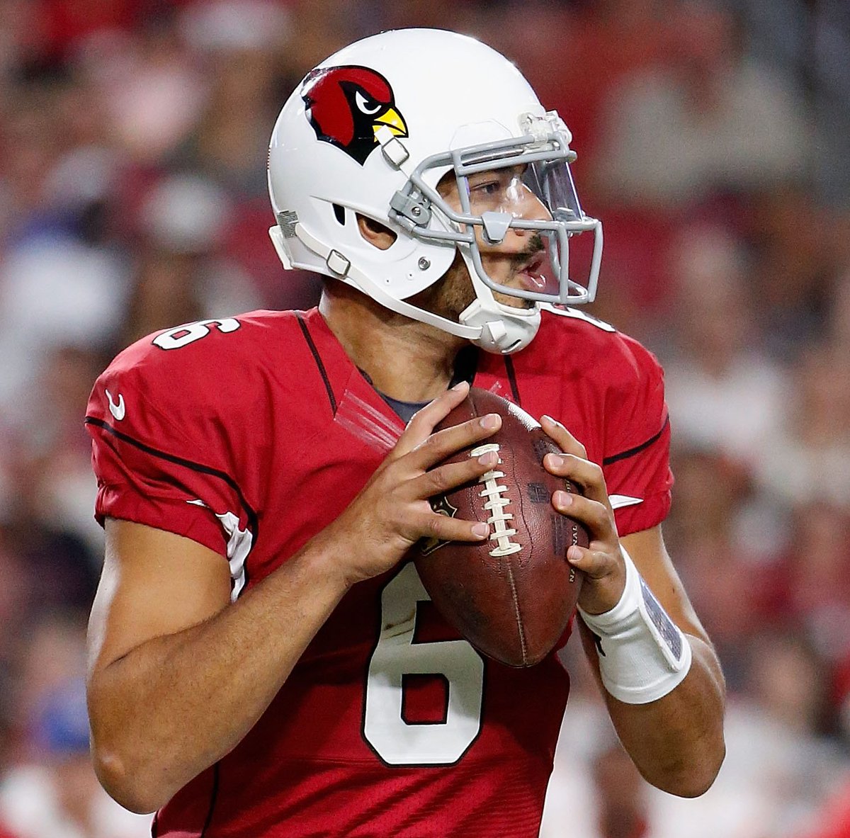 RT <a href="/ProFootballTalk/">ProFootballTalk</a> Lions sign Logan Thomas to practice squad as a tight end nfl.icymi.email/lions-sign-log… recommend? #NFL