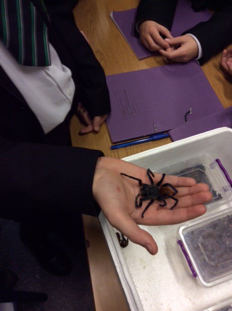 ESJ Science tweet media