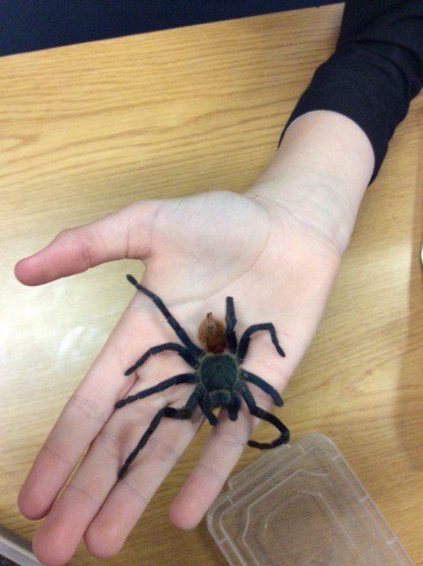 ESJ Science tweet media