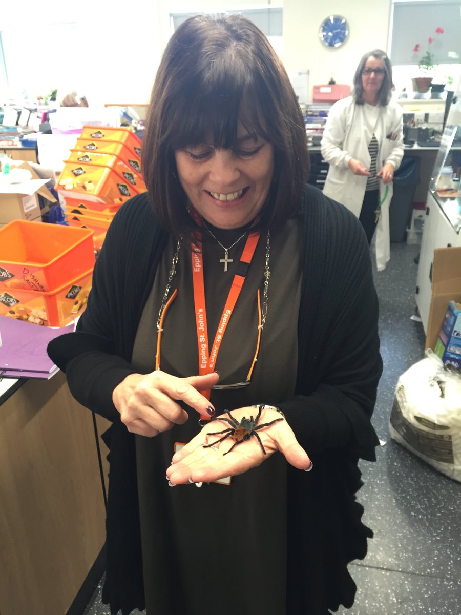 ESJ Science tweet media