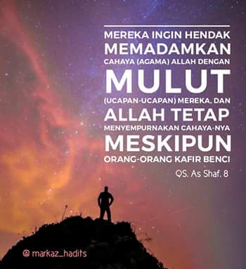 Dame_mohammed tweet media