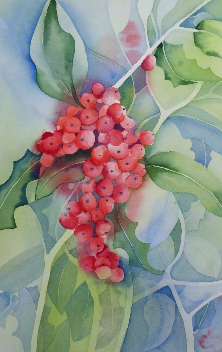 cards and some original Christmas artwork on sale 
#watercolours#exclusive Christmas cards#holly#berries#