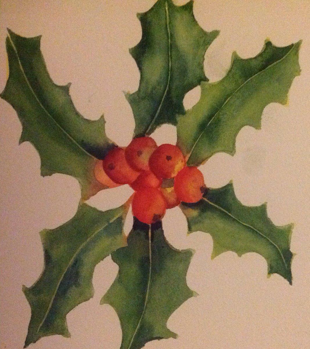 suebates359's tweet photo. cards and some original Christmas artwork on sale 
#watercolours#exclusive Christmas cards#holly#berries# https://t.co/xUon5ktbTt