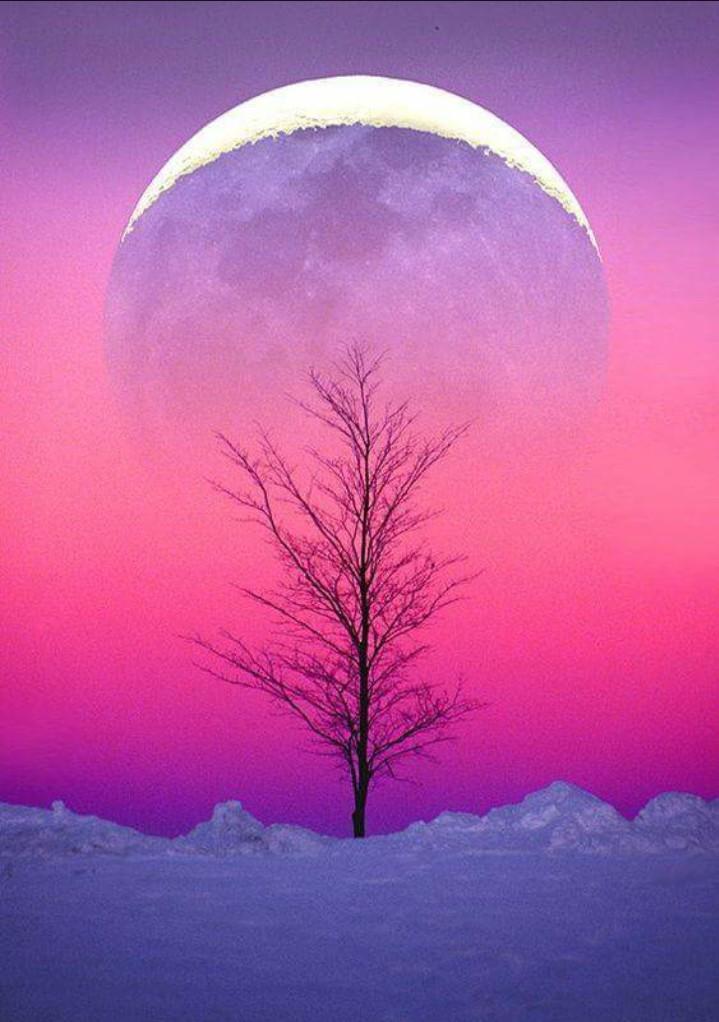 Mona_adorable's tweet photo. #tanka #5Lines #14word #19syllables #wordplay #ALONE #moon #ePrompts #sedserio #inpoems #micropoetry #amwriting #mpy #poem #vss Pic @PurbaSr https://t.co/cInRSmF9wn