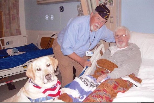 WeLoveDogsUSA's tweet photo. Show your support for Cokie and other service dogs! 

#dogs #pets #animals #dogsoftwitter https://t.co/cFyPg2ZvII