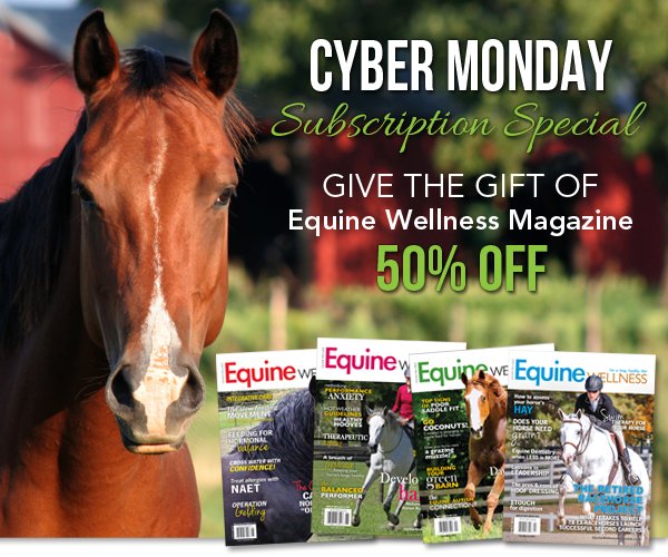 Cyber Monday Sale! 50% off Equine Wellness Magazine #horses #horsehealth #horsedeals conta.cc/2gc7Oi5