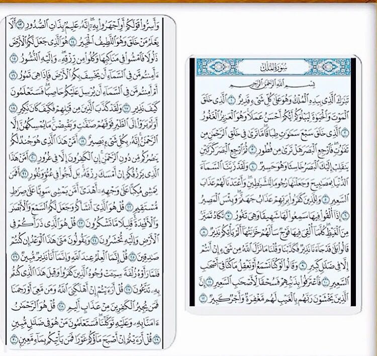 مدى tweet media
