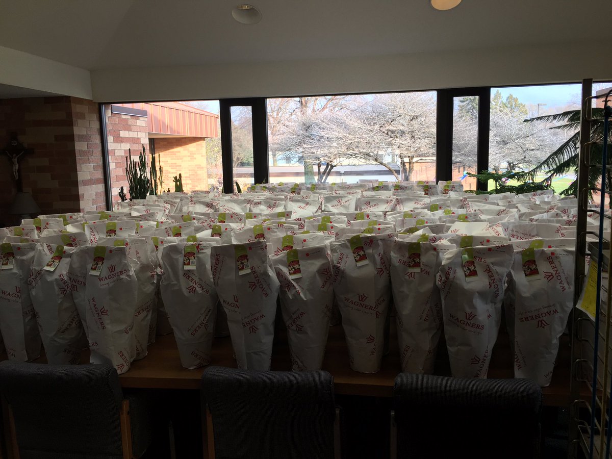 Cooperstown2017's tweet photo. Poinsettias have arrived from Wagners.435 plants were ordered for our fundraiser. Thank you for supporting the team! https://t.co/aS30qpffB7