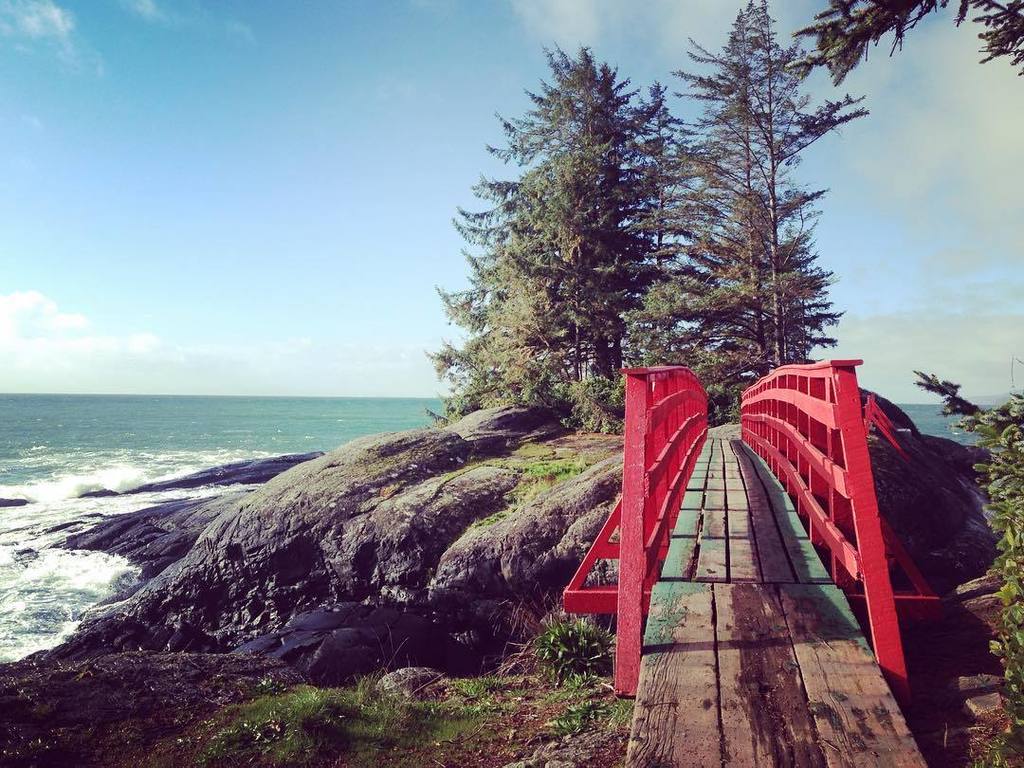 kristinasmith's tweet photo. #pointnopointresort #tryingnottobrag (sorry for the photo dump, there's only wifi in one s… https://t.co/fMSxrhxJsd https://t.co/M3mDiNXQyU