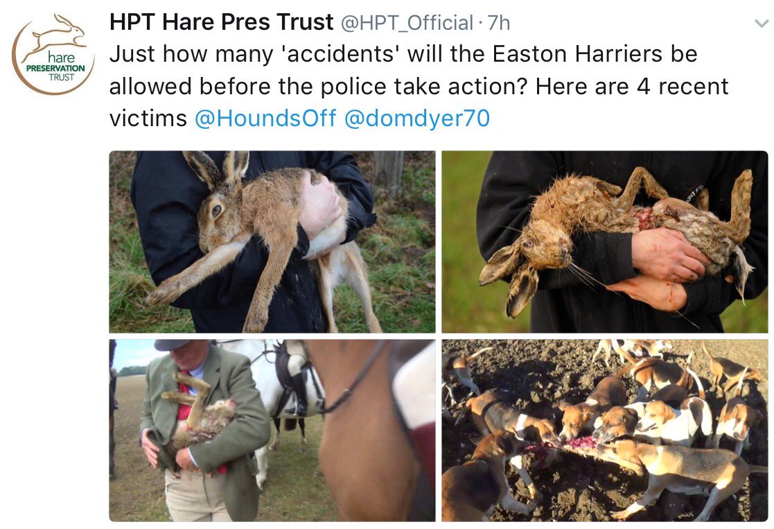 HoundsOff's tweet photo. @HPT_Official @domdyer70 @HuntSabs @LeagueACS
Please ask the Suffolk Police & Crime Commissioner for an answer 👉 https://t.co/1Ms2qM1xK7 https://t.co/twc1aAn3dY