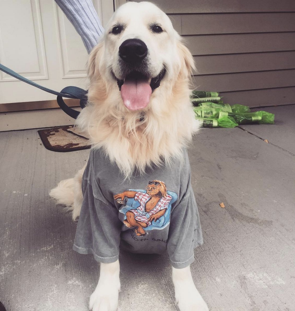 slothnation's tweet photo. Follow us on our new instagram!
@slothnation https://t.co/y61r5teRbo