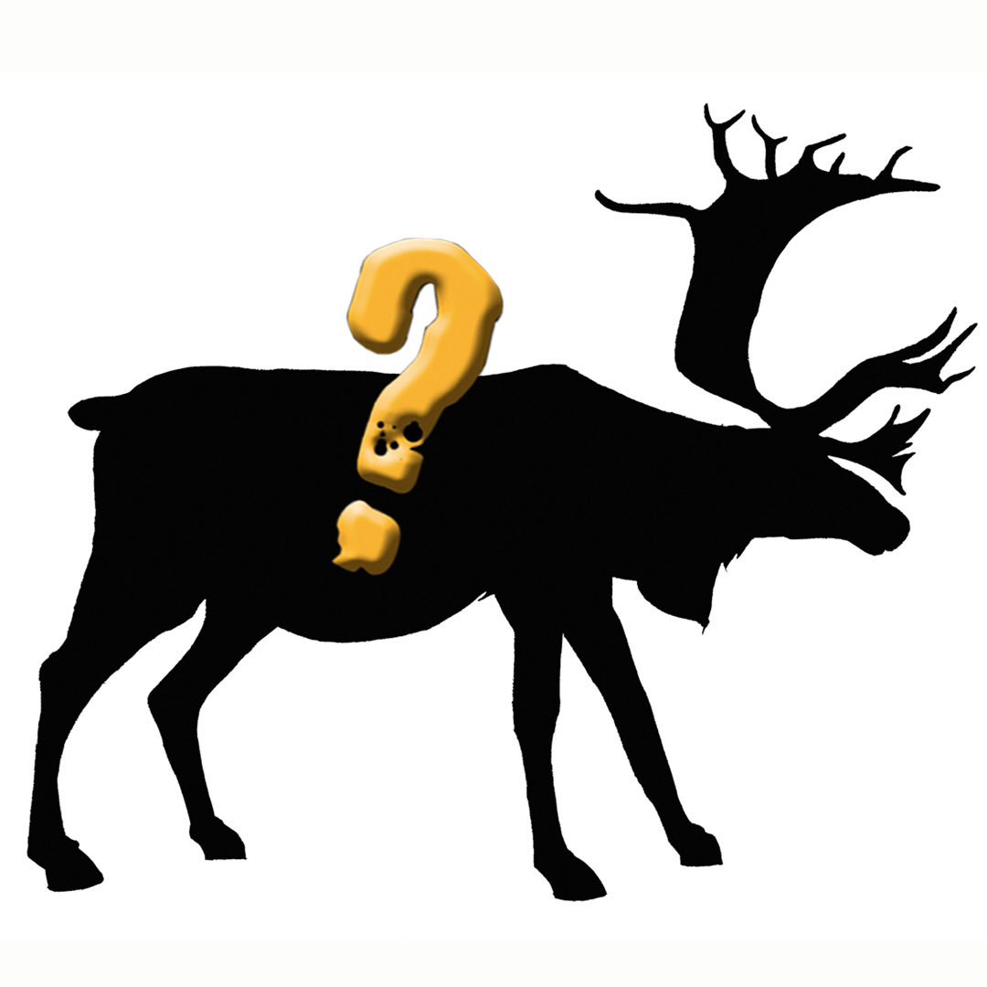 whod_win's tweet photo. #MysteryAnimal Any brilliant guesses out there? #AskTwitter https://t.co/sqPBLAnBsQ