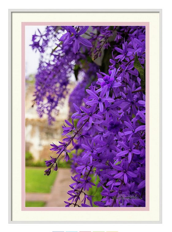 elliotbatz's tweet photo. .'. Nazareno framed pic .'. #beautiful #picoftheday #all_shots #exposure #capture #poster #decoration #CyberMonday https://t.co/upTdmAq434 https://t.co/lEc9h4sQJl