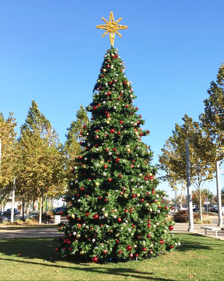 The holidays are quickly approaching! Visit our website at tracycitycenter.com to see all that we have to offer this holiday season!