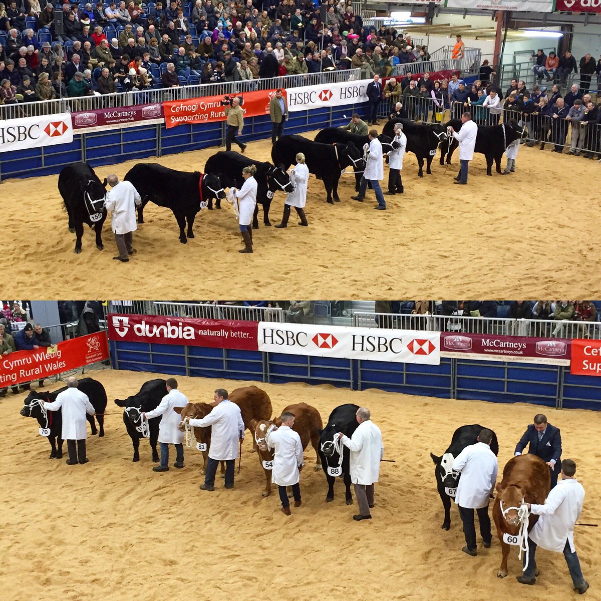 hannah_wright00's tweet photo. Enjoyable day at #welshwinterfair today. @royalwelshshow #farmingatitsbest https://t.co/Z7oNPI3xVG