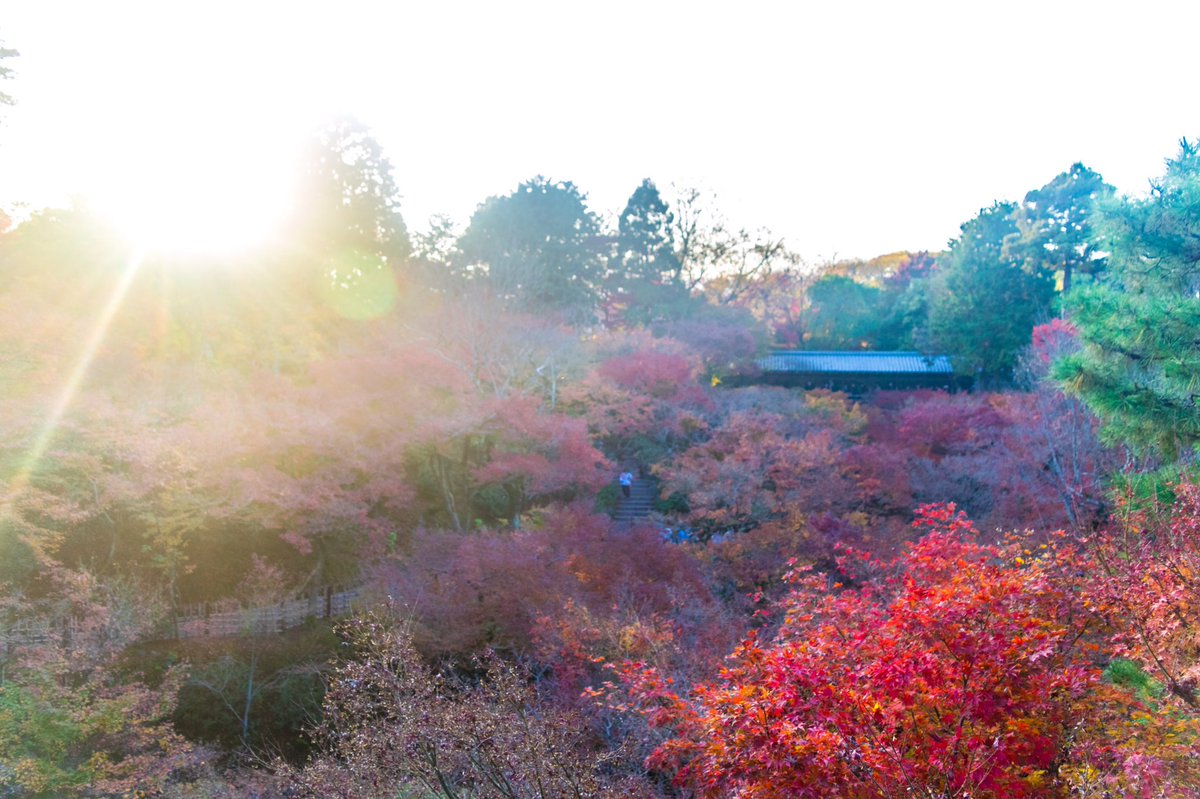 naphoto3's tweet photo. #autumnorange
#ファインダー越しの私の世界 
#coregraphy 
#写真好きな人と繋がりたい https://t.co/sGSbcEVsm4