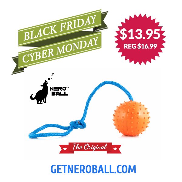 TheNeroBall's tweet image. Sale ends tonight at midnight! Grab one for yourself and a K-9 officer in your town, makes a great gift!  #NeroBallSquad #CyberMonday