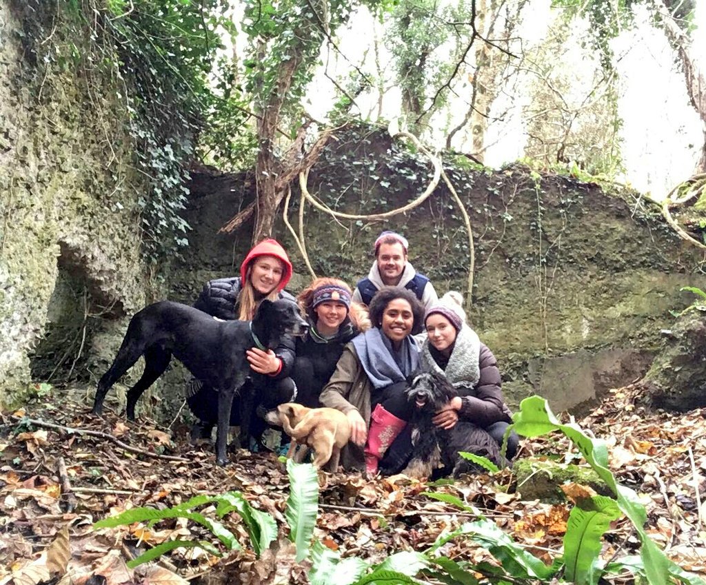 HabsMonBoarding's tweet photo. Here is lovely snap of some of the #AugustaHouse girls, Mr P and the #boardinghousedogs taken during their #sundaystroll yesterday afternoon https://t.co/CVrknDPcI9