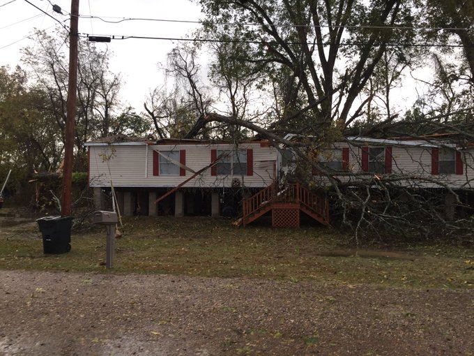 View image on Twitter