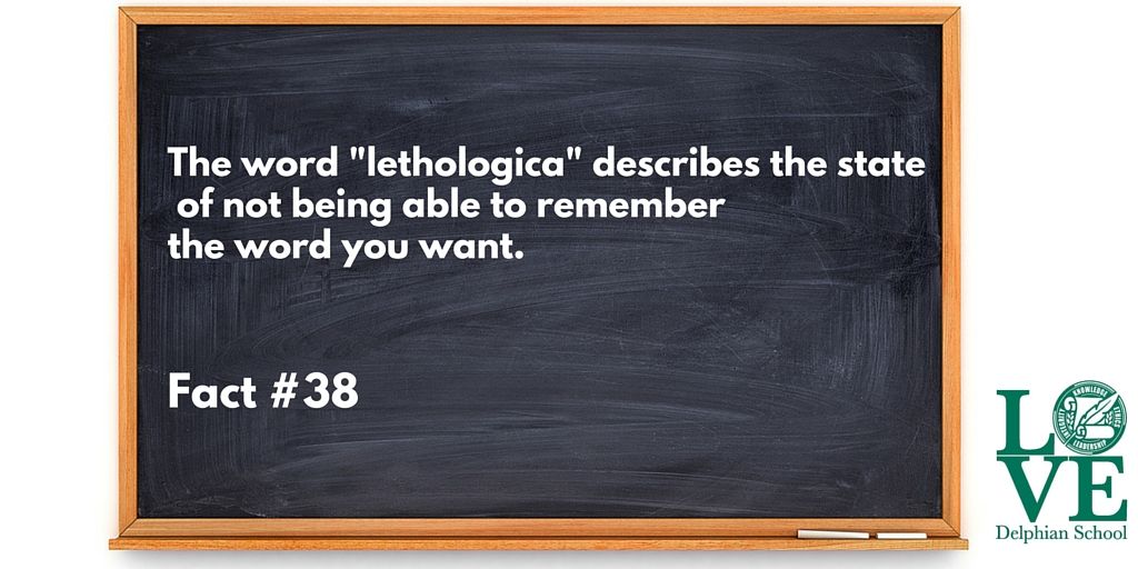 DelphianSchool's tweet photo. Fun fact number 38. #DelphianFunFacts https://t.co/QVtbxpnoBQ