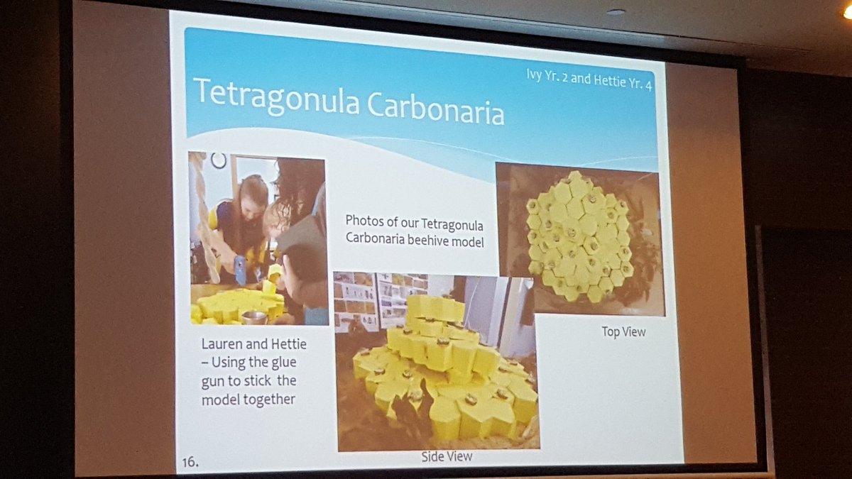 melbryceland's tweet photo. Learning about bees from students at Crabbes Creek PS. #pbl #stem2016 #studentinterests #flightofthebumblebee https://t.co/uzEZpB8OA2