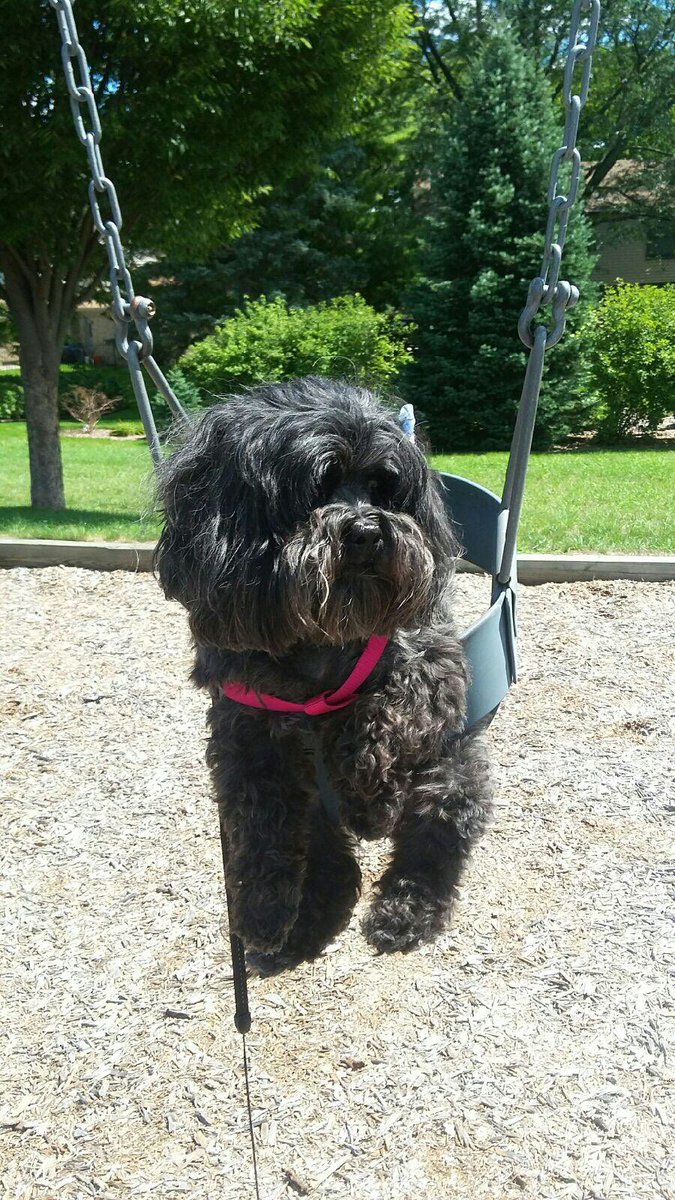 BeazleyRenee's tweet photo. Just a day at the park! https://t.co/chkxIXq8hw