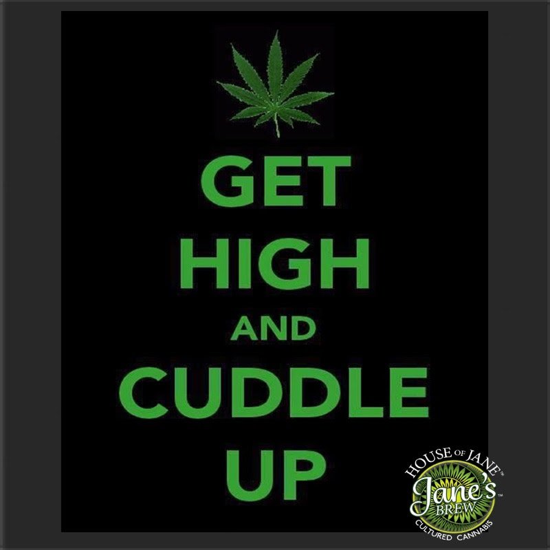 Get High and Cuddle Up! 
#janesbrew #houseofjane #medicalcannabis