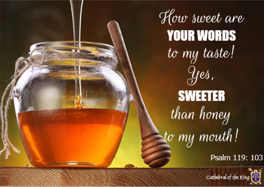 doucefeline's tweet photo. 🍯 How sweet are your words to my taste, sweeter than honey to my mouth! 🍯

💫Ps119:103💫

Your word Lord #Jesus , is ALL WE NEED!🙏🏾 https://t.co/vDArfFkRQ0