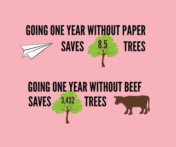 Decided on a New Year's resolution yet? #foodforthought 🌍🌏🌏
