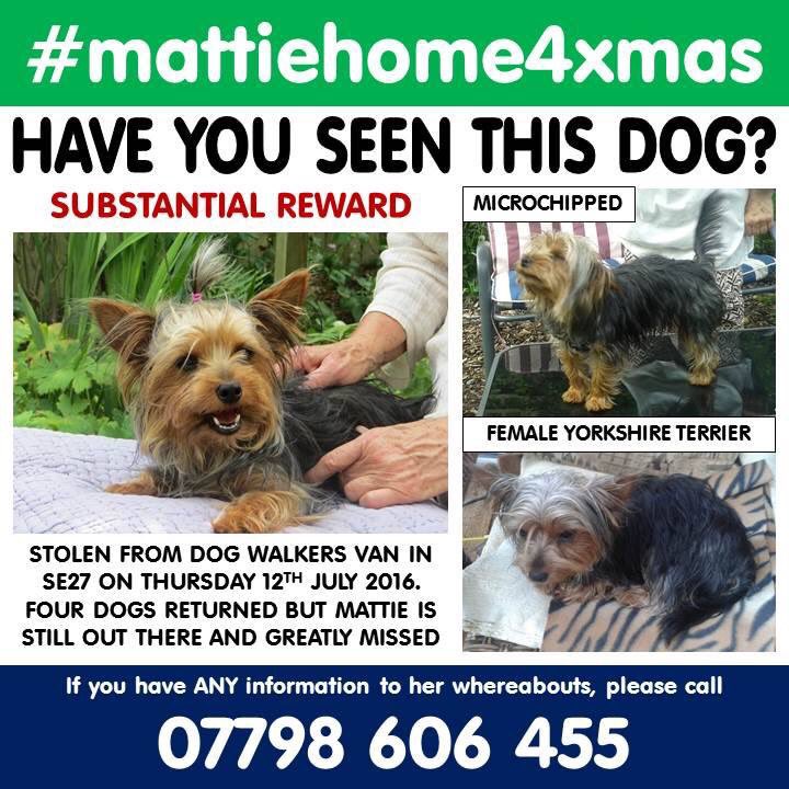 Missing_Pets1 tweet media