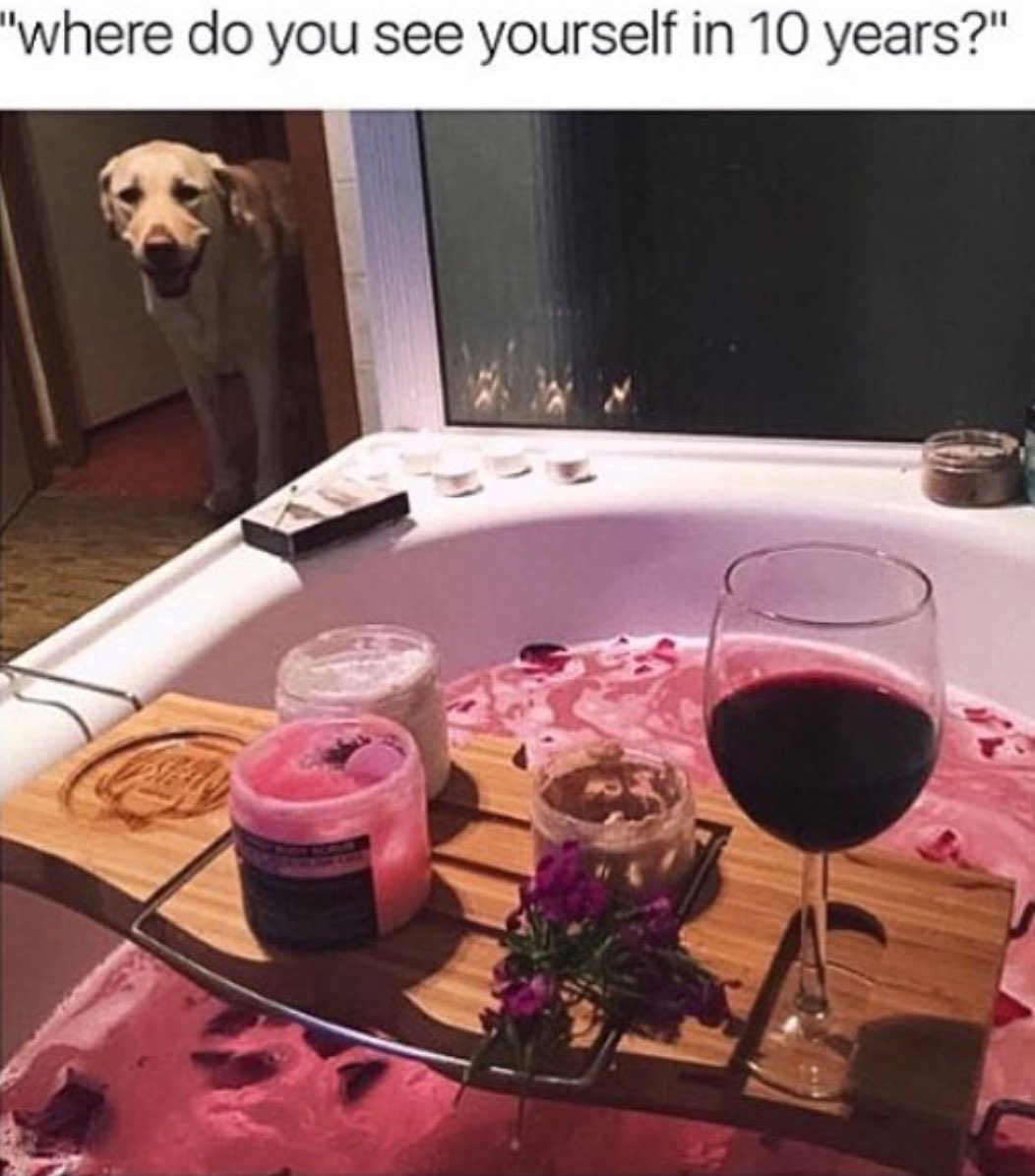Liz_Prather's tweet photo. Wine, my dog, and no one asking me to cuddle later = my kind of relationship goals - liz🙃 #datingsucks #singleAF #Labsbeforelads https://t.co/YZRxL56Rsv