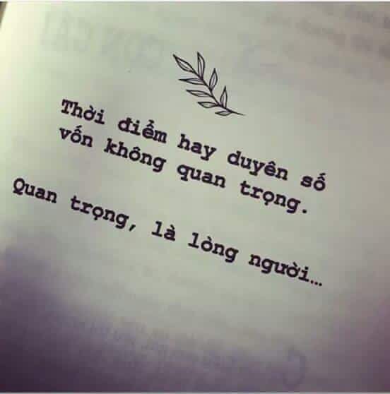 mimimimimedia's tweet photo. @phunuvietnam @lamdep24h @yeu https://t.co/Mm77Hgi7nD
