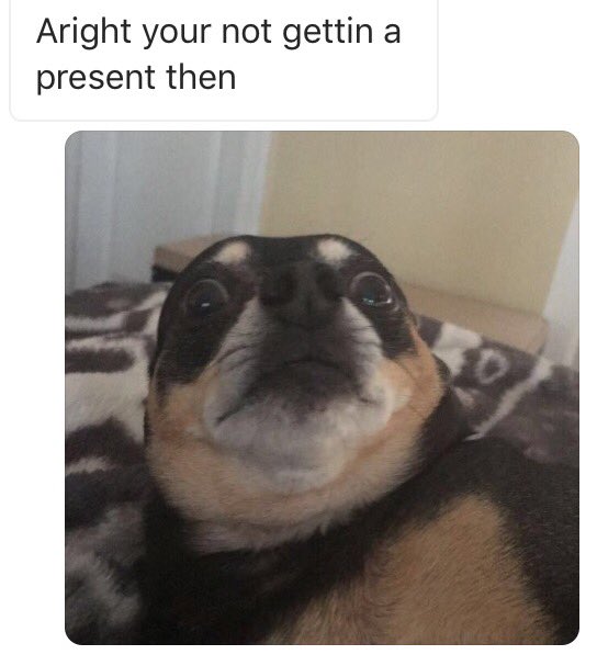 thebeanmemes tweet picture