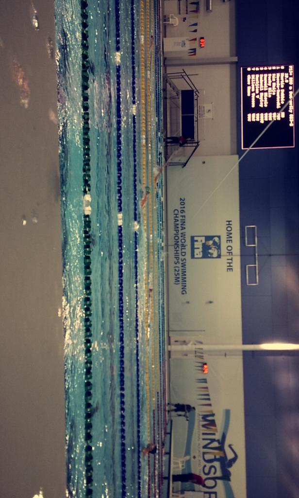OlfEtienne's tweet photo. Nous sommes à la competition c'est une tres belle picsine!😍 #windsor #Canada #gastienne #natation #etienne https://t.co/Ypb4Q00lKZ