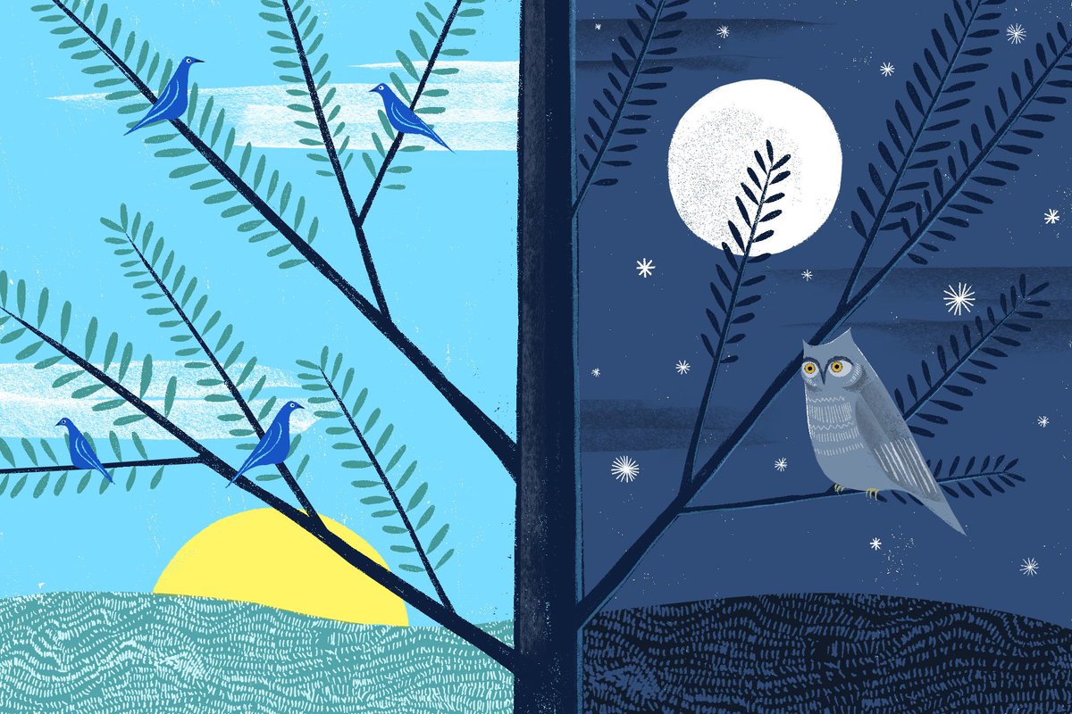 nytimeswell's tweet photo. How to get a better night's sleep. https://t.co/qqD7WPekZT https://t.co/m6SaBqoxjy