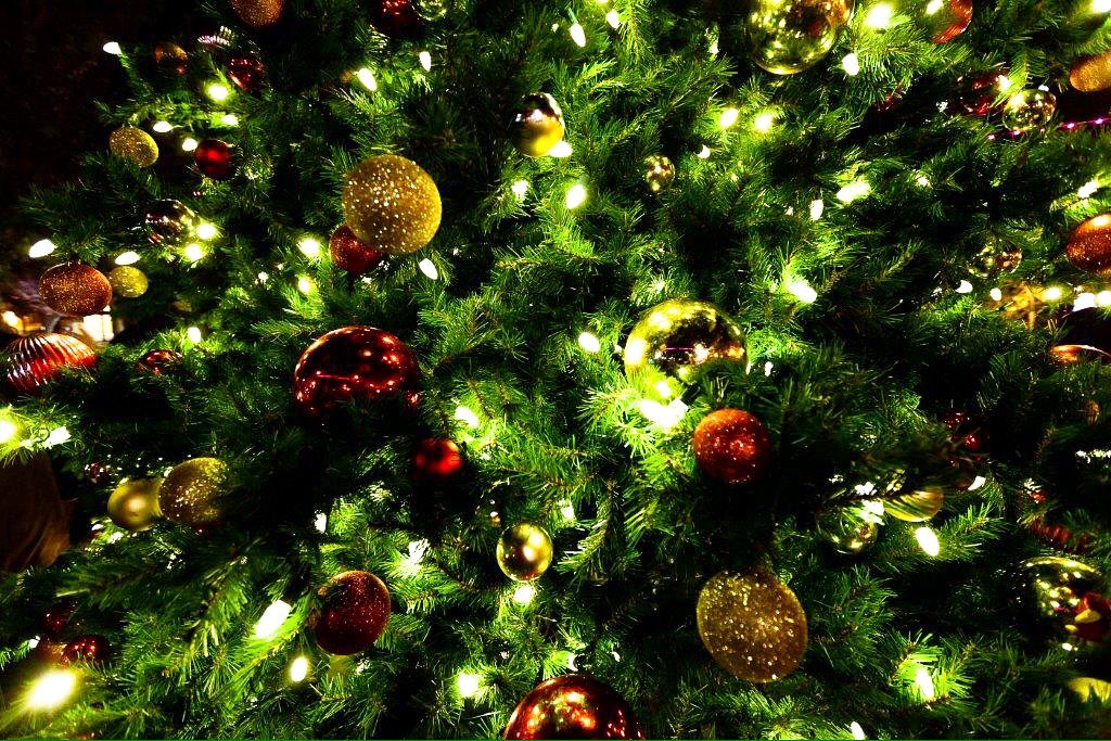 Save the date! Holiday Tree Lighting Ceremony is this Saturday!