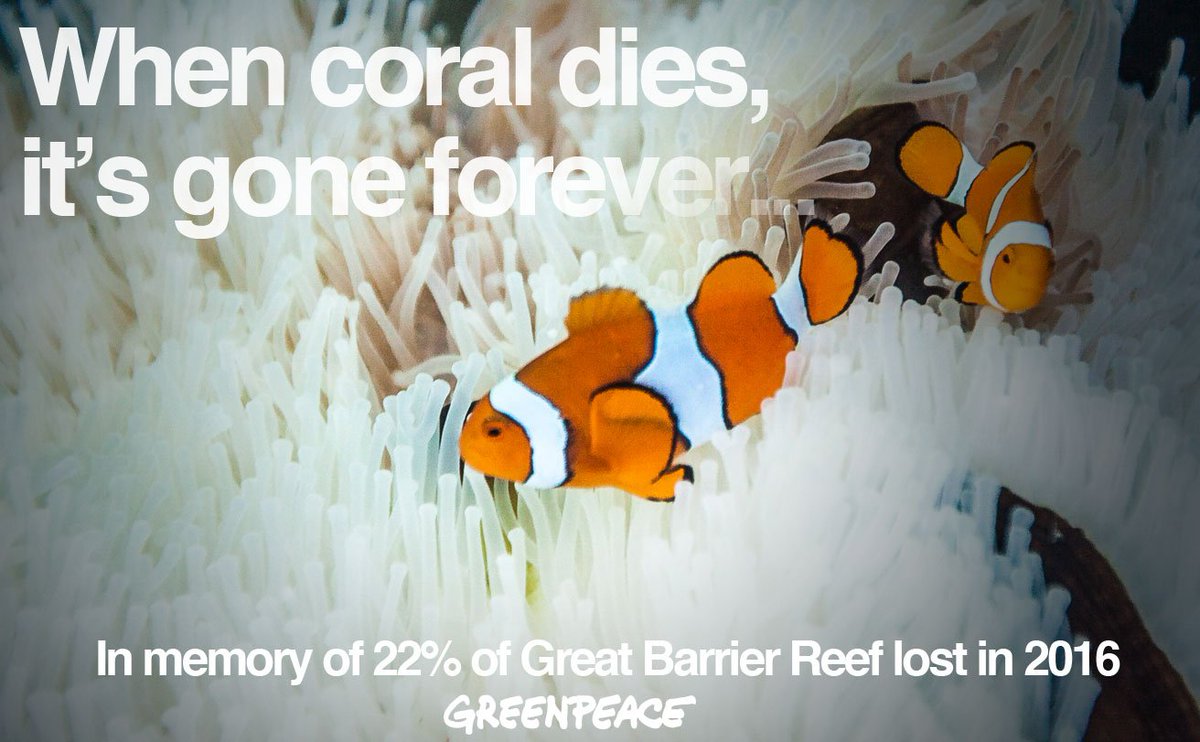 Greenpeace Australia Pacific tweet media