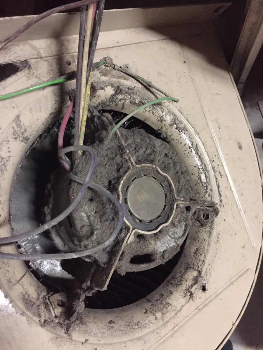 Actually surprised this motor still worked.  Got it cleaned up, now it purrs like a kitten. Lennox 40 years old and going strong 💪 #lennox