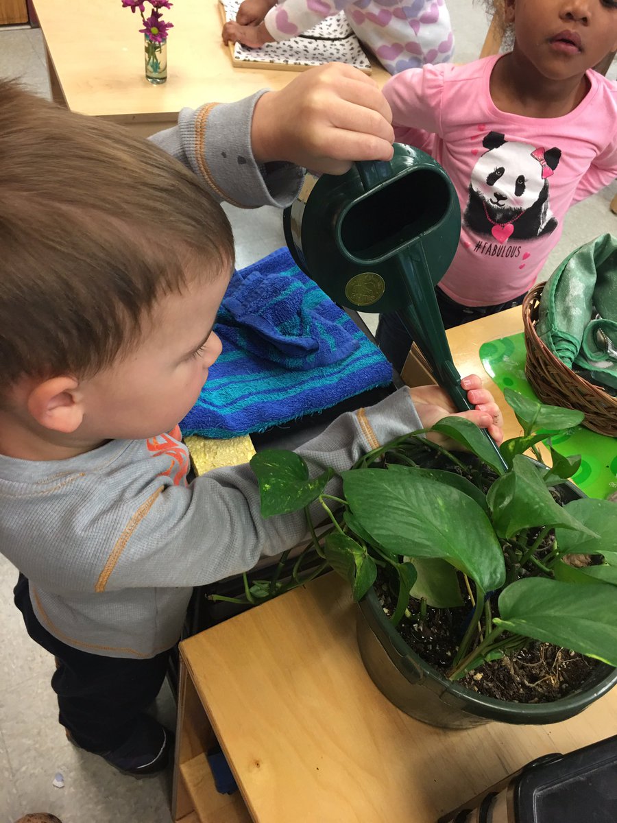 apsdrewkalkus's tweet photo. Care of the environment @APSDrew @APSDrewPrimary https://t.co/8u2XAQkmPO