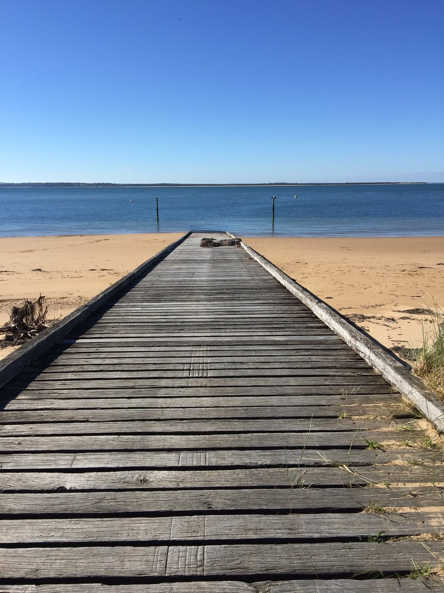 mantha_lee's tweet photo. @Tiloa_ feel like a quick dip before breakie (#AussieSam = breakfast 😉😂) glorious spring day here! https://t.co/cZ3RqIv5Mx